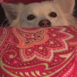 Meet your Posher, Susan